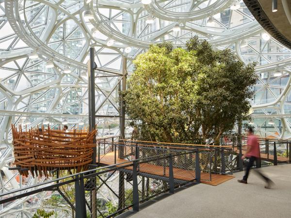 The Spheres, Amazon’s glass-domed headquarters in downtown Seattle, was constructed with Ǳ® 60 and Starphire Ultra-Clear® glasses by Vitro Architectural Glass.